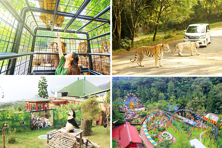 taman safari indonesia bogor