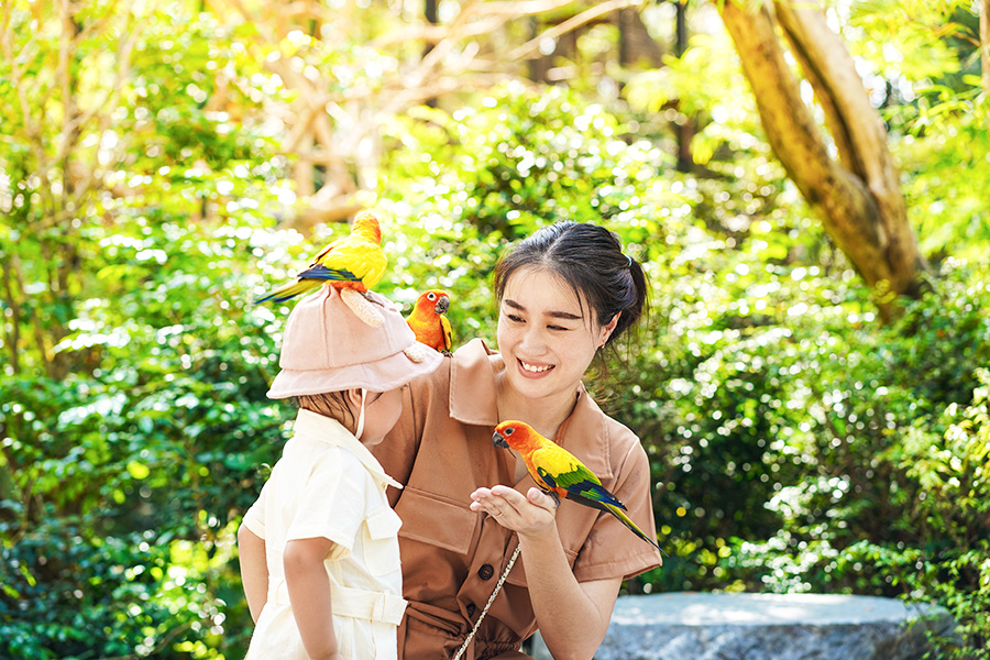Lembang Park Zoo - sangkar burung raksasa