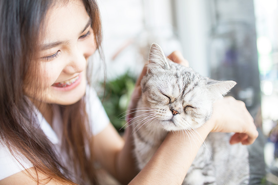 Lembang Park Zoo - neko cat cafe