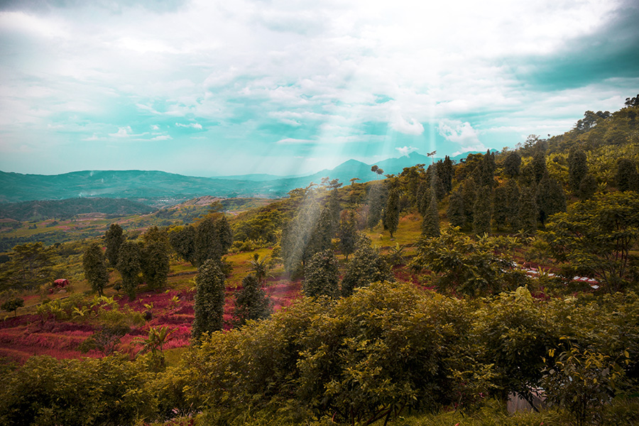 The Scenery View in the Hambalang Park (Picture via Gilang Tristiano - www.shutterstock.com) 