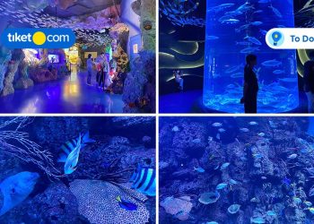 Jakarta Aquarium & Safari, Wisata Edukasi Menyenangkan di Dalam Mall