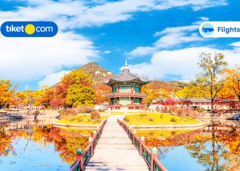 Where to Visit During Autumn in South Korea and Some Holiday Tips for You