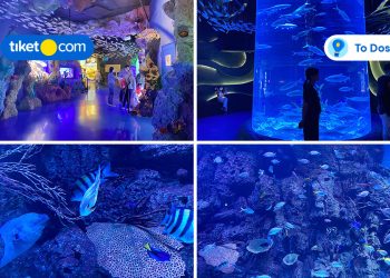 Exploring Jakarta Aquarium & Safari on your holiday