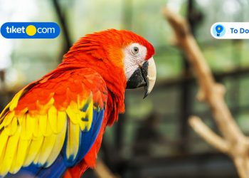 Lembang Park Zoo