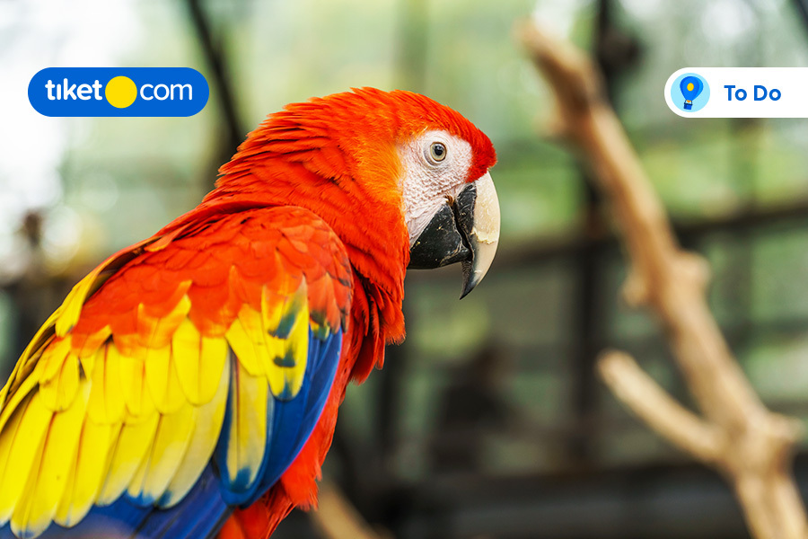 Lembang Park & Zoo, Wahana Seru Buat Liburan Bareng Si Kecil di Bandung!