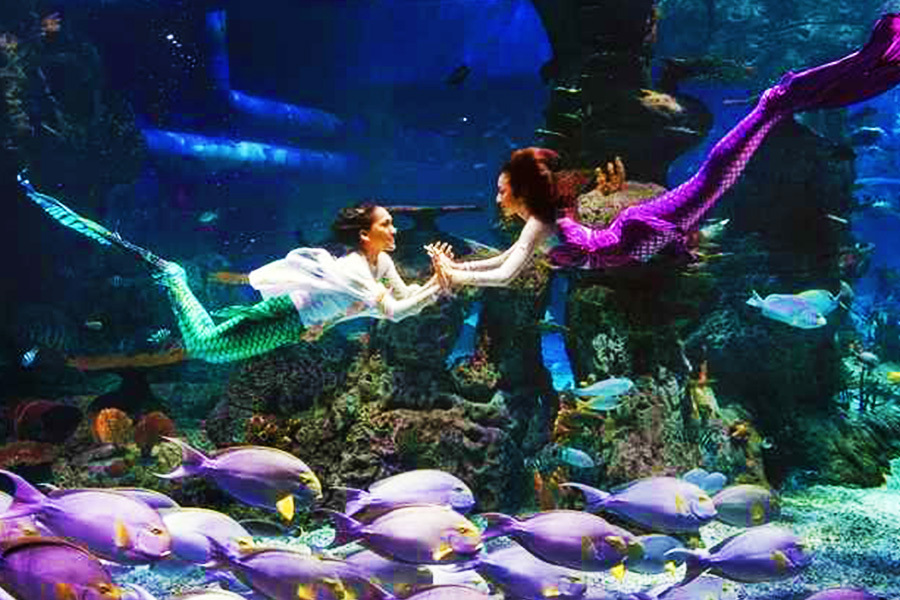 Mermaid in Jakarta Aquarium & Safari
