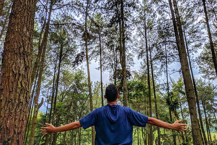 tempat wisata di payakumbuh - ngalau seribu