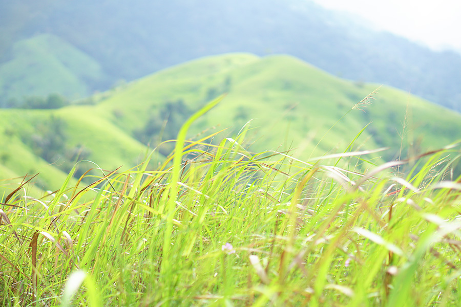wisata banda aceh - siron hills