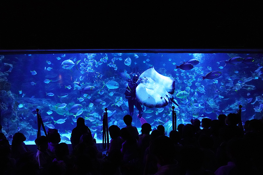 Aquaria KLCC, destinasi wisata di Malaysia