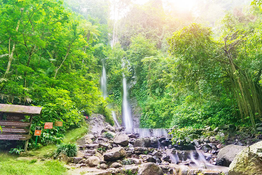 Tempat Wisata di Cisarua Bogor