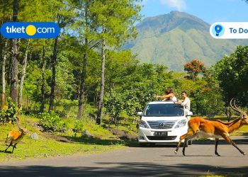 Taman Safari Indonesia II Jatim