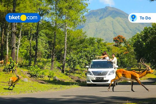 Taman Safari Indonesia II Jatim