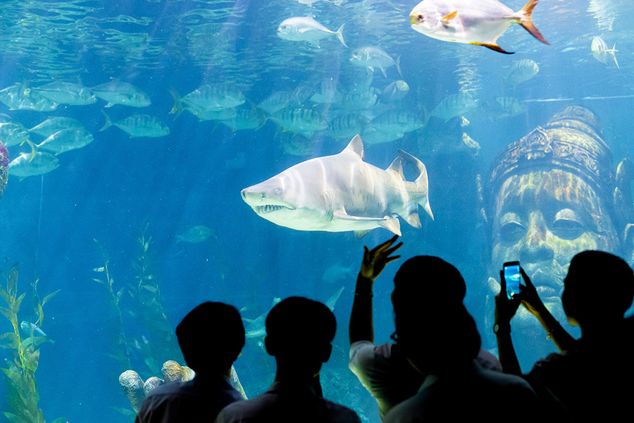 Bayangan anak-anak sedang melihat Aquarium SEA LIFE di Bangkok saat liburan