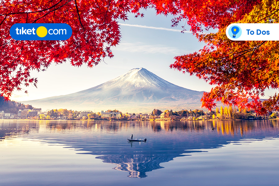 Check 6 Days Itinerary to Explore Tokyo, Osaka, and Kyoto Here