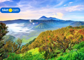 Penasaran Sama Keindahan Alam Jawa Timur? Yuk Liburan ke Sini!