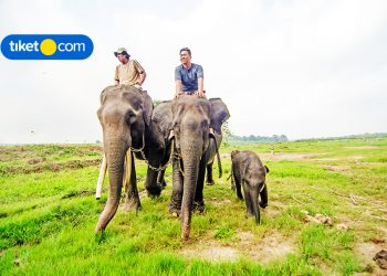 Kulineran, Jelajah Pulau, dan Wisata Sejarah di Lampung, Seru Banget!