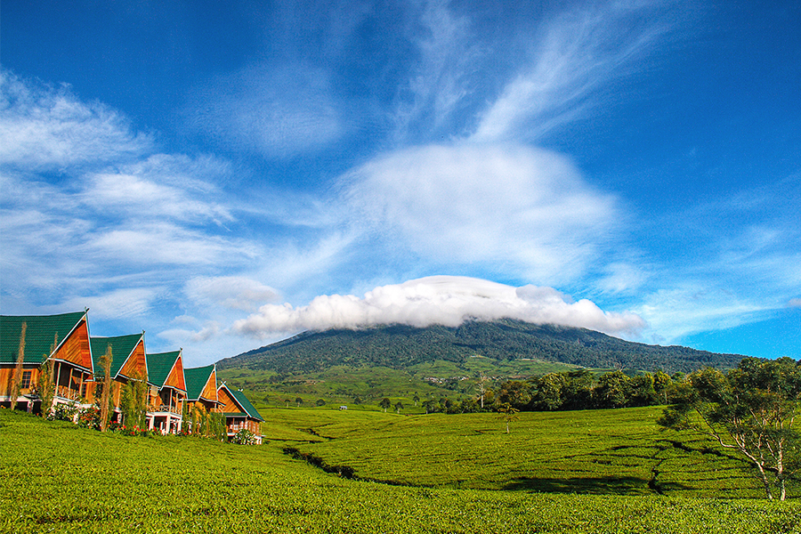 wisata kebun teh - kebun teh dempo pagar alam
