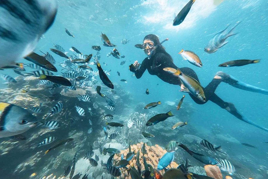 tempat berlibur di jakarta - diving