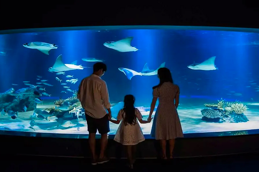 things to do in seoul with family, visit Hanwha Aqua Planet