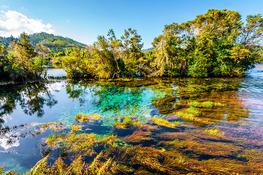 Wisata Alam di New Zealand