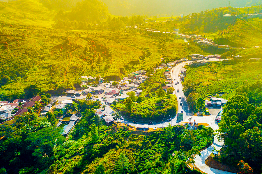 wisata kebun teh - kebun teh gunung mas bogor