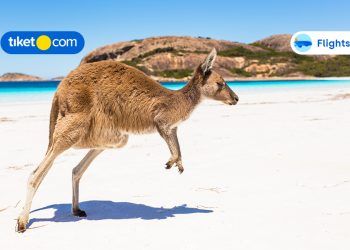 Natural Wonders for Your Bucket List Adventure in Australia!