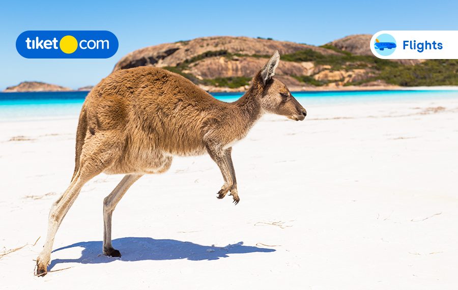 Natural Wonders for Your Bucket List Adventure in Australia!