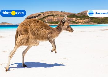 Tempat Wisata Alam di Australia Ini Cocok Buat Kamu Si Petualang, Let’s Go!