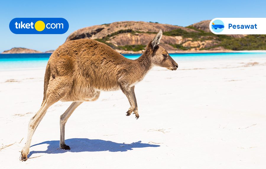 Tempat Wisata Alam di Australia Ini Cocok Buat Kamu Si Petualang, Let’s Go!