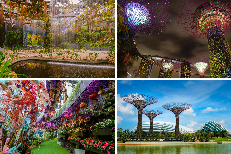 Visit Gardens by the Bay while watching F1 Singapore 