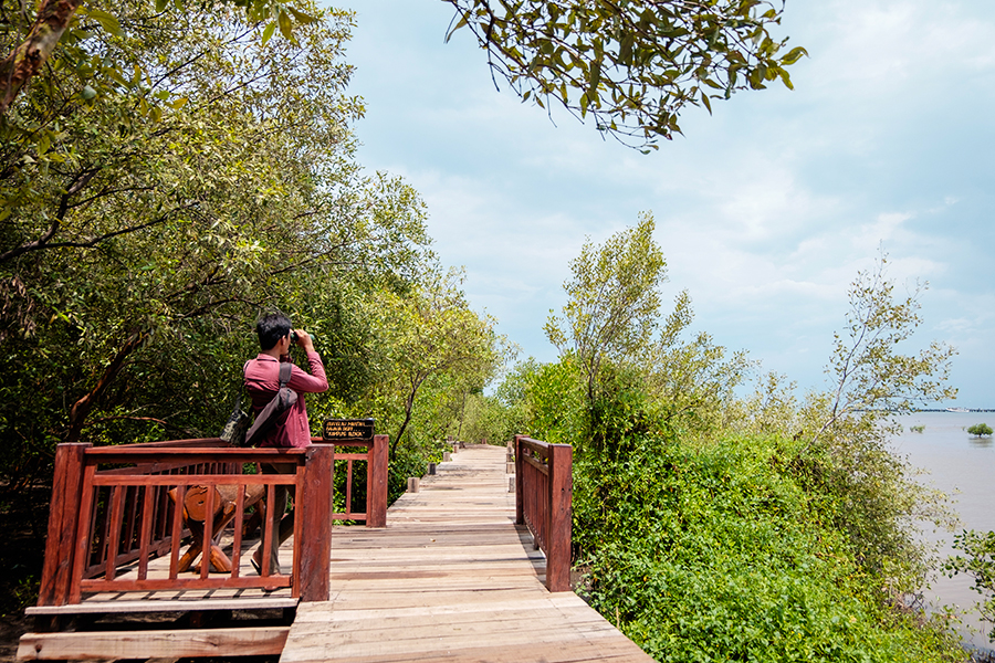 wisata situbondo - kampung blekok