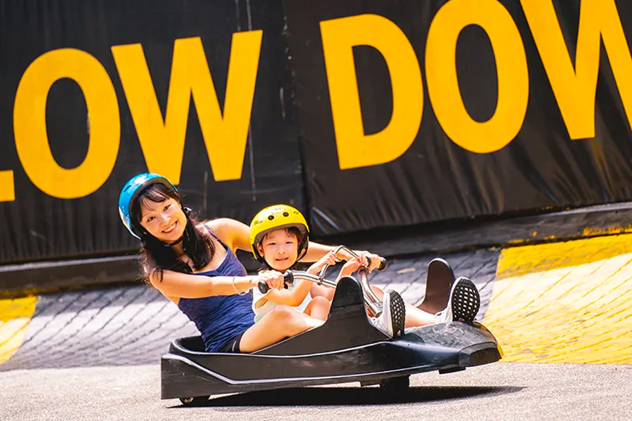 Ride Skyline Luge After Watching F1 Singapore
