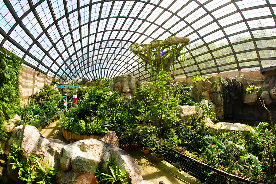Entopia by Penang Butterfly Farm