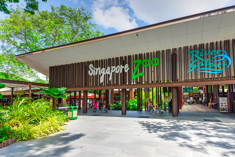 visit singapore zoo while watching F1
