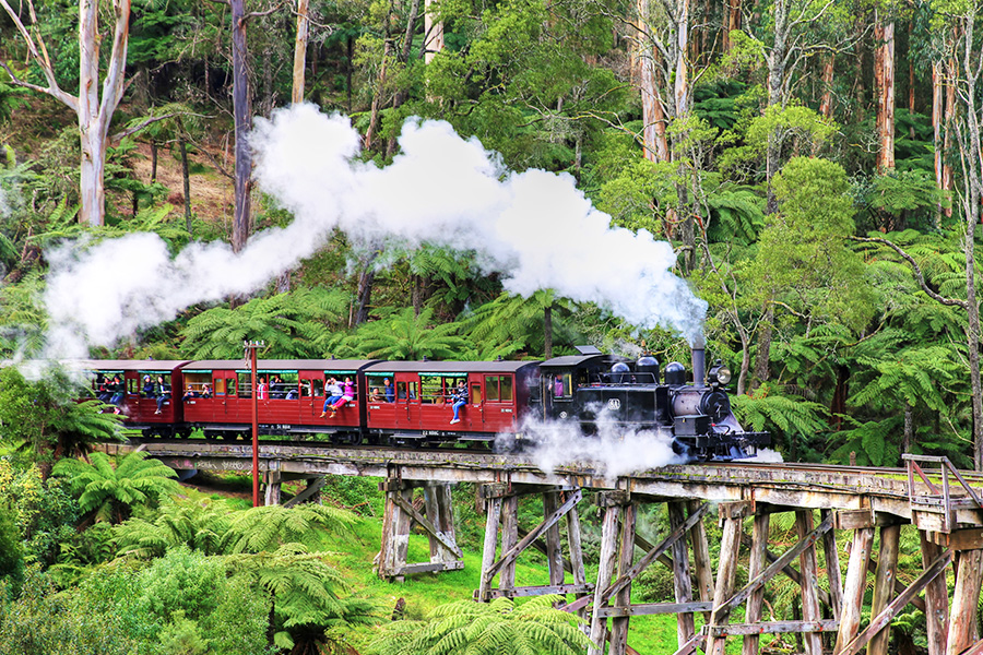 Puffing Billy Train