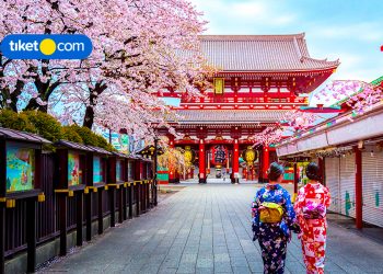 7 Spot Terbaik untuk Nikmati Liburan Musim Gugur di Tokyo!