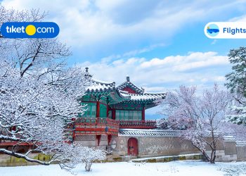 Want a Winter Vacation in South Korea? Check Out the Info Here!
