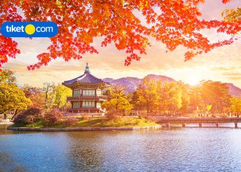 Autumn in Seoul: 7 Places You Must Visit!