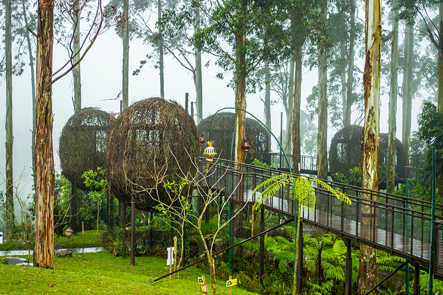 wisata dusun bambu
