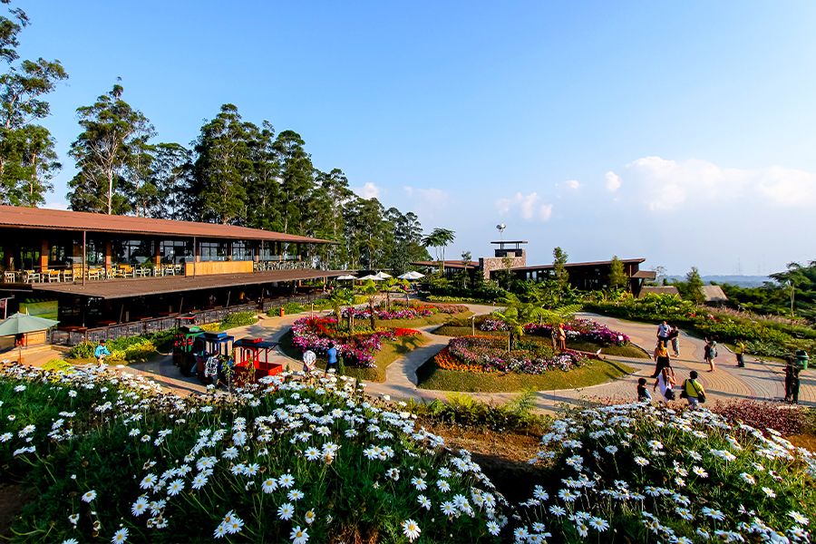 wisata dusun bambu
