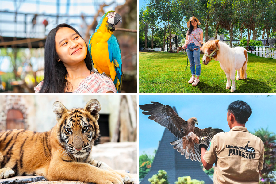wisata lembang - Lembang Park & Zoo