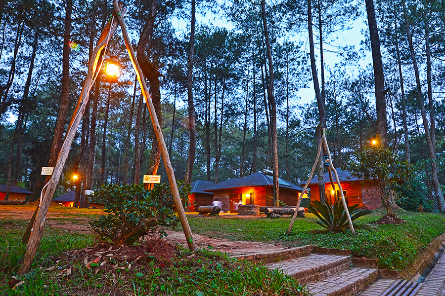wisata lembang - Orchid Forest Cikole