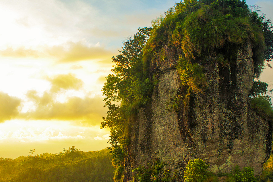 wisata kulon progo - Puncak Widosari