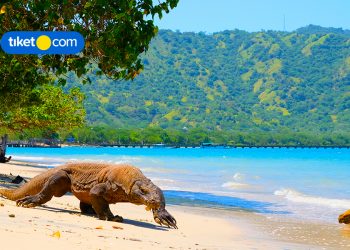 10 Hal Seru Saat Liburan ke NTT, Cocok Buat Bucketlist Kamu Tahun Depan!