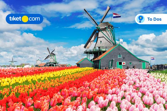 best things to do in netherlands for holiday