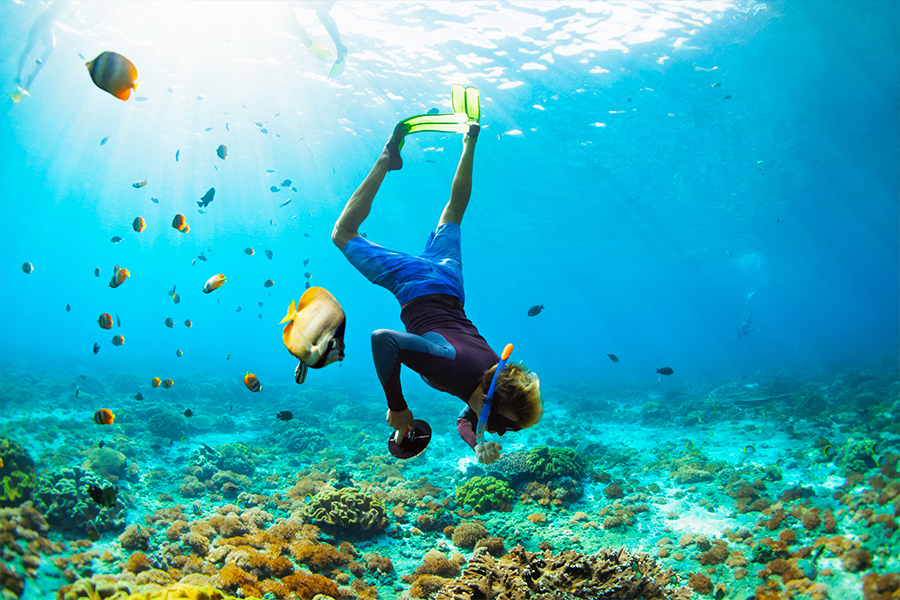 snorkeling with nusa penida tour package