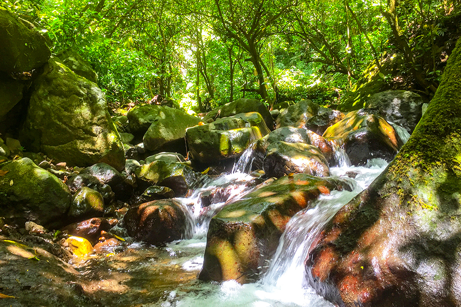 tempat wisata di kediri - Air Terjun Dolo
