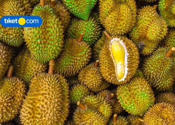 Tempat Makan Durian di Malaysia, dari Kebun hingga Festival!