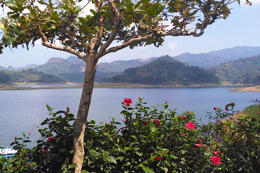 tempat wisata di magelang - Telaga Bleder