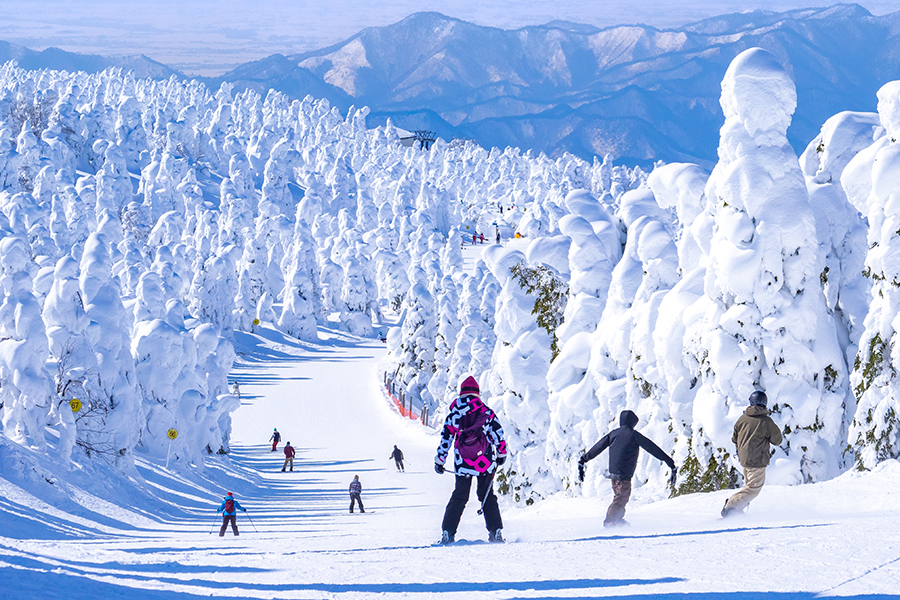 Skiing through Zao Mountain using JR East Pass